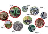 资阳这7家医院有抗蛇毒血清储备！