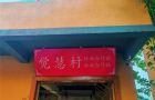 中江第二站：中国挂面村，一碗面，一座城